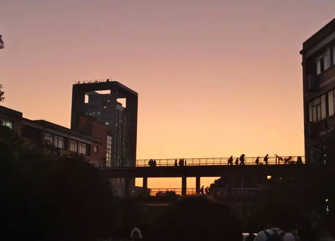 微信图片_20251117105040_30_270