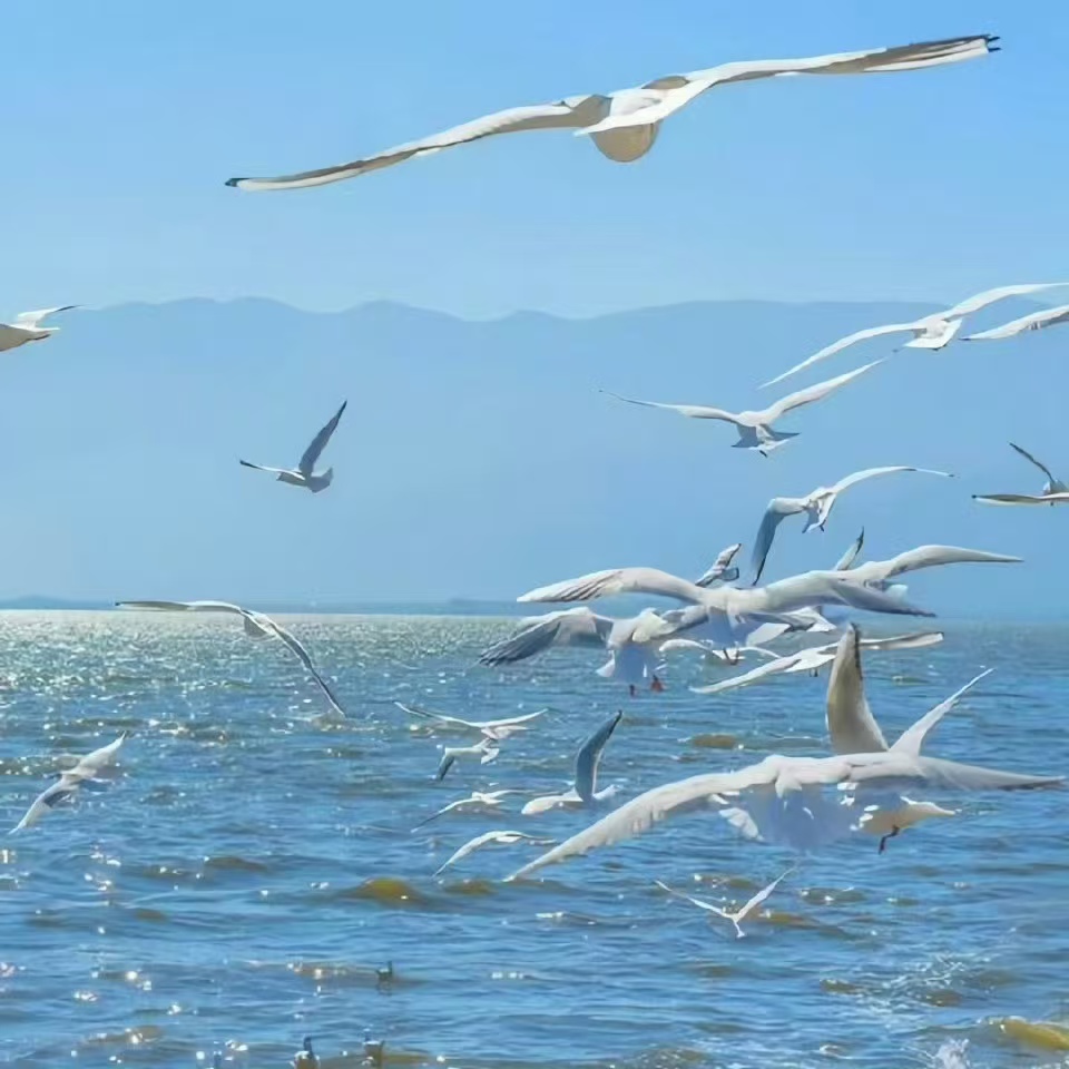 巴纳姆效应_心灵感悟_心理保健_学生心理健康教育与咨询中心- 南昌航空大学