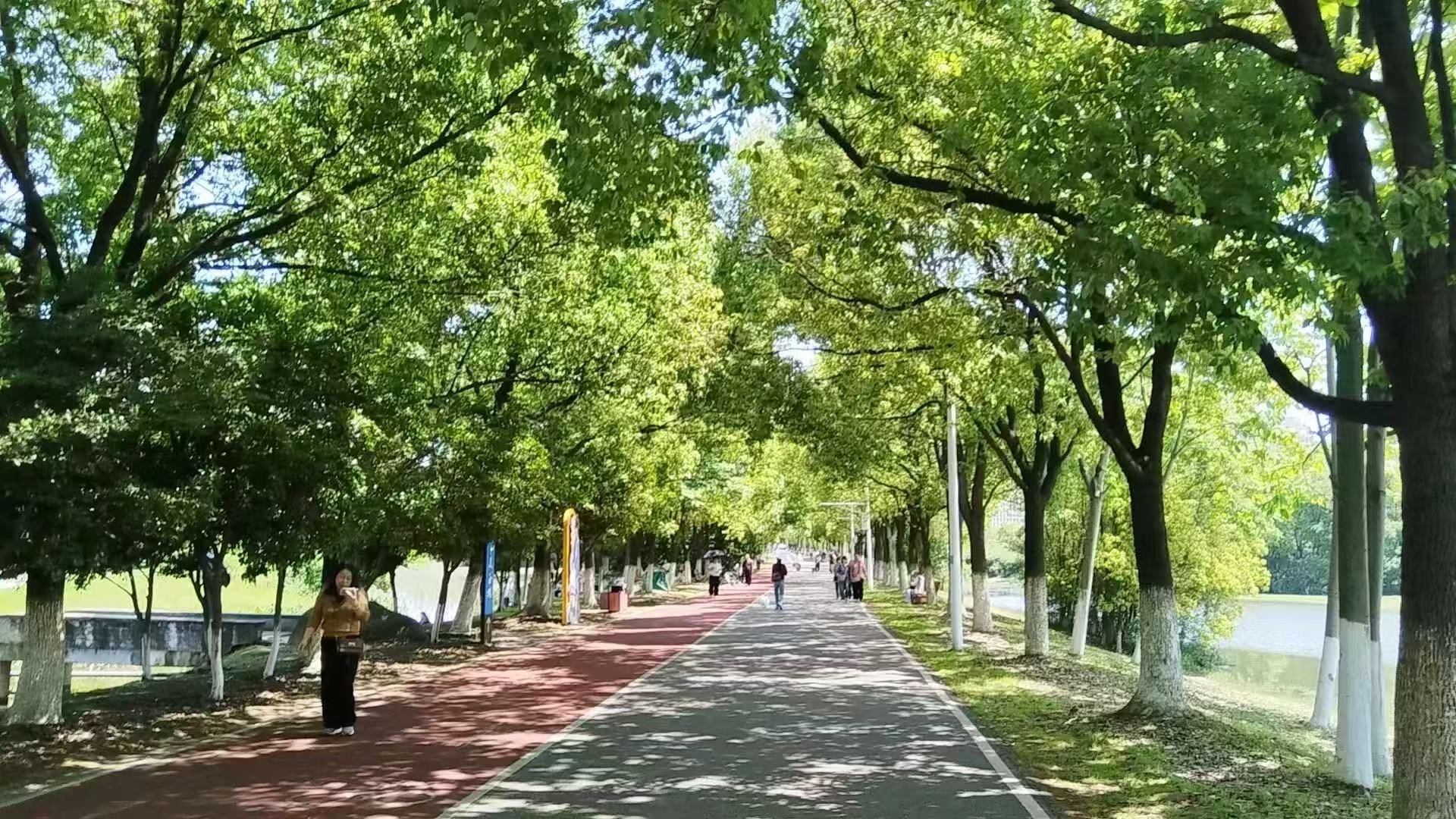 微信图片_20260615151054_264_6